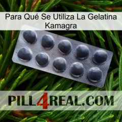 Para Qué Se Utiliza La Gelatina Kamagra 30